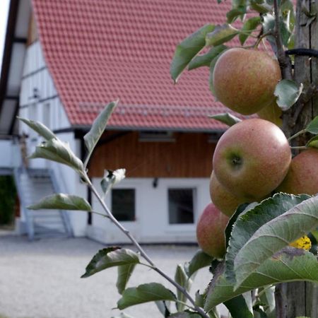 Ferienhof Waggershauser Friedrichshafen Luaran gambar